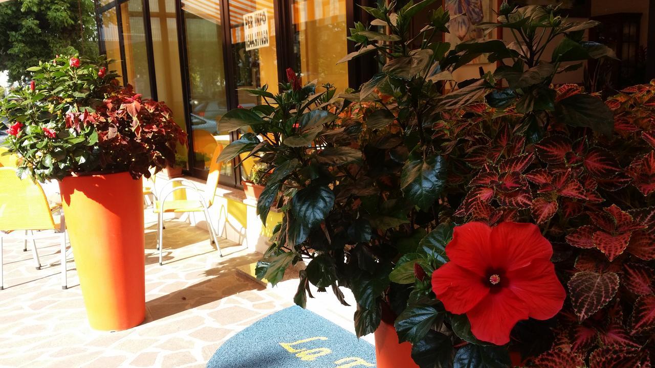 Hotel La Falena Червія Екстер'єр фото